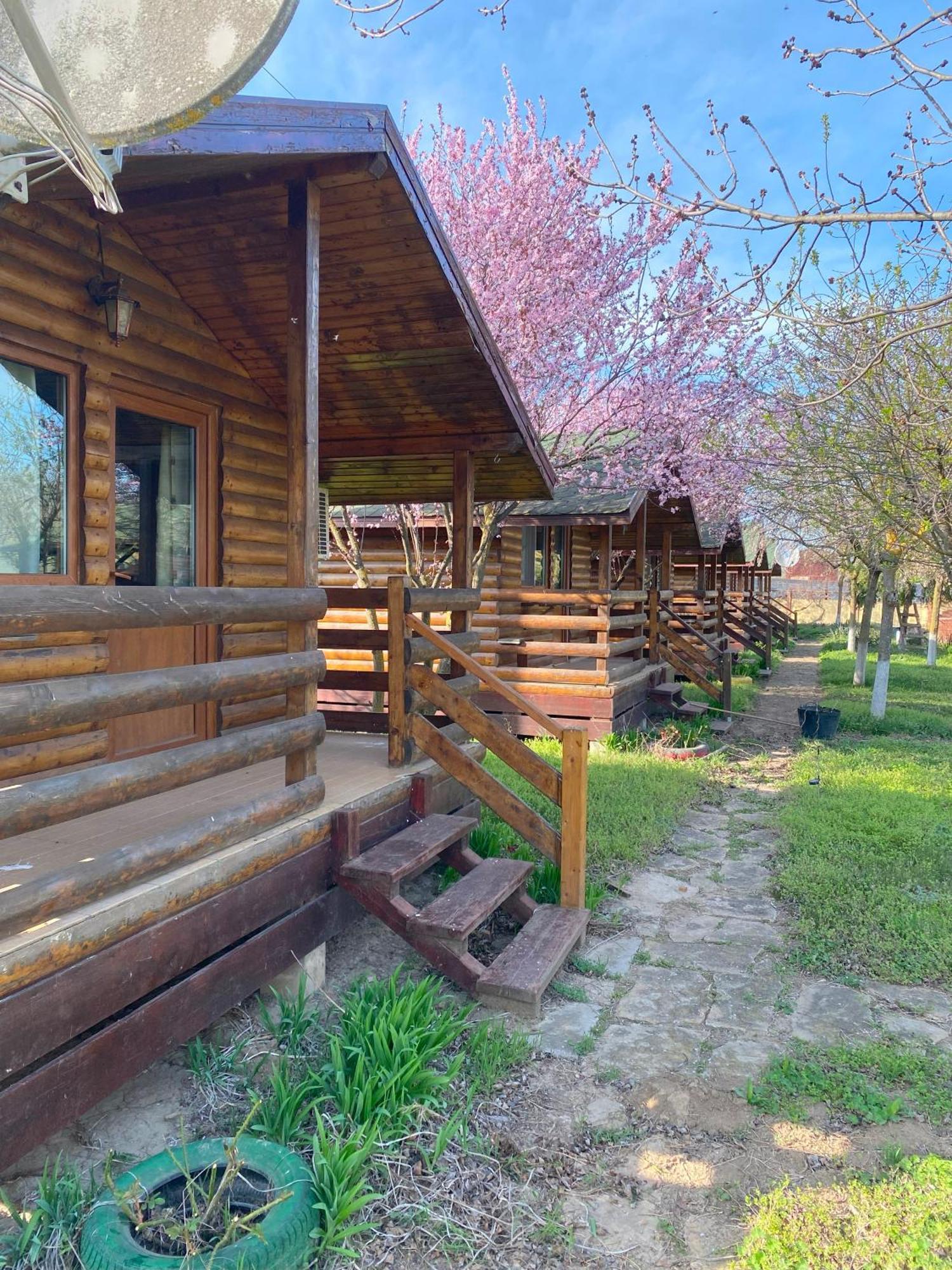 Guest house Salcia Pletoasa